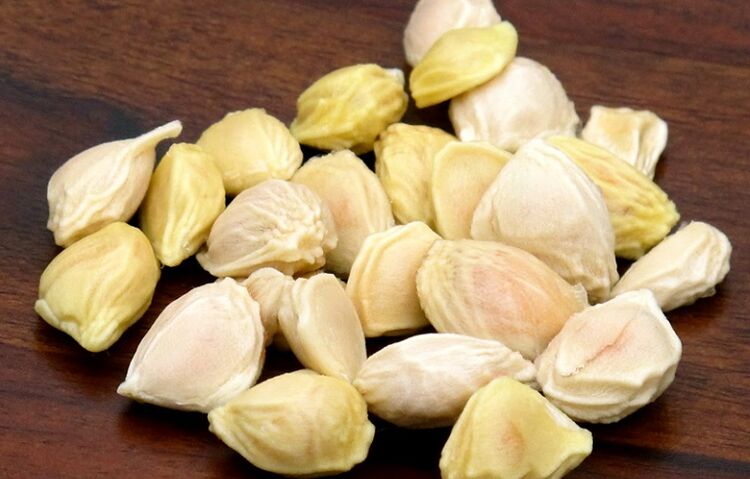 Benih Juarai Terhadap Parasit