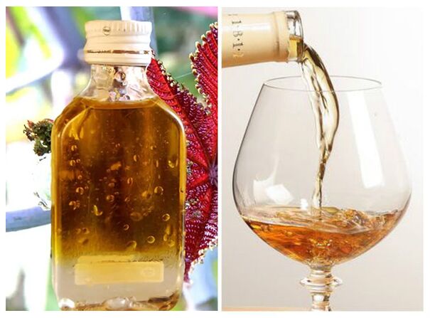 cognac dan minyak kastor terhadap parasit
