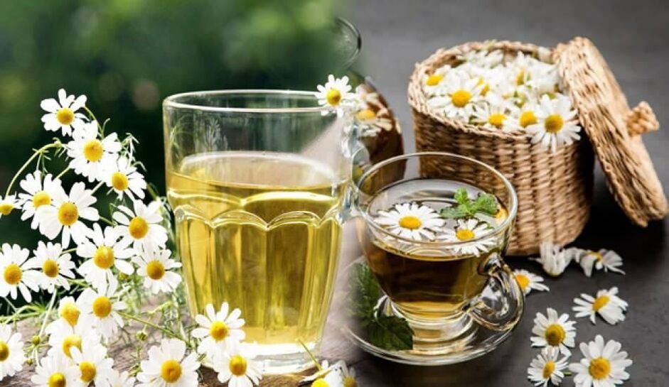 Merebus chamomile untuk parasit