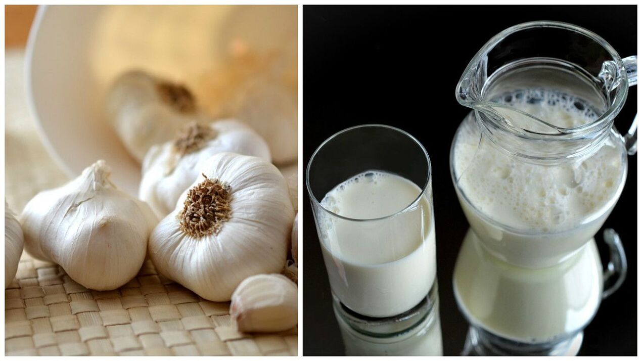 bawang putih dengan susu terhadap parasit