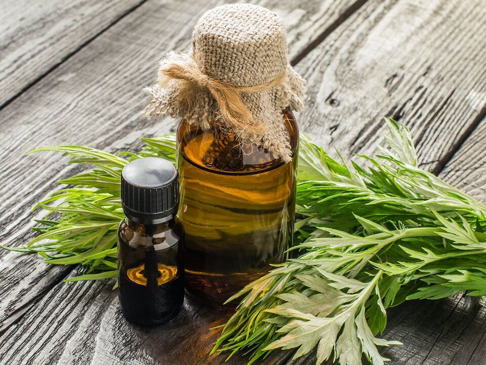 wormwood terhadap parasit