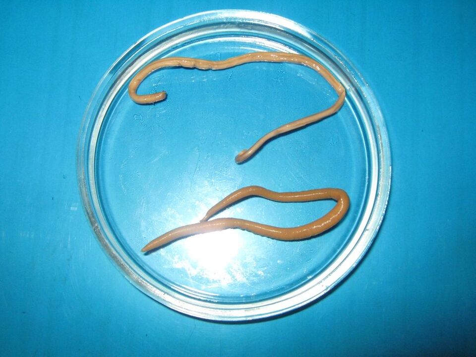 helminths dalam badan