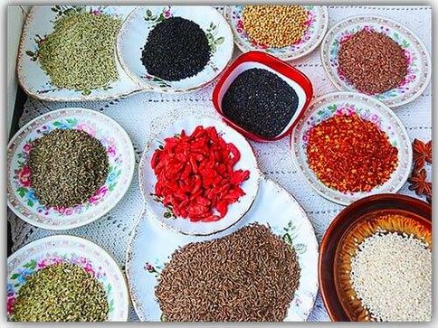 kayu manis dan ulas terhadap parasit