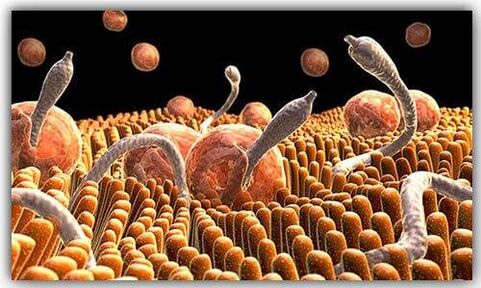 parasit di dalam badan